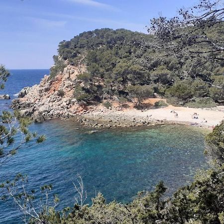 Bandol Maison De Campagne エクステリア 写真