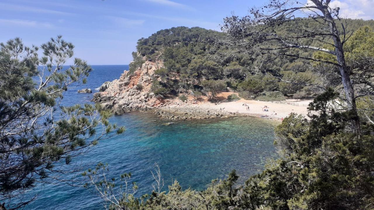 Bandol Maison De Campagne エクステリア 写真